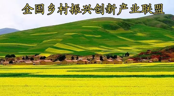 四川省成都市规划和自然资源局八楼会议室，一场以案促改专题民主生活会正在进行。