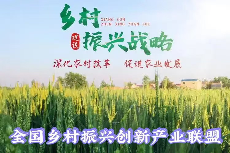 中央纪委国家监委通报2022年1至9月全国纪检监察机关监督检查、审查调查情况